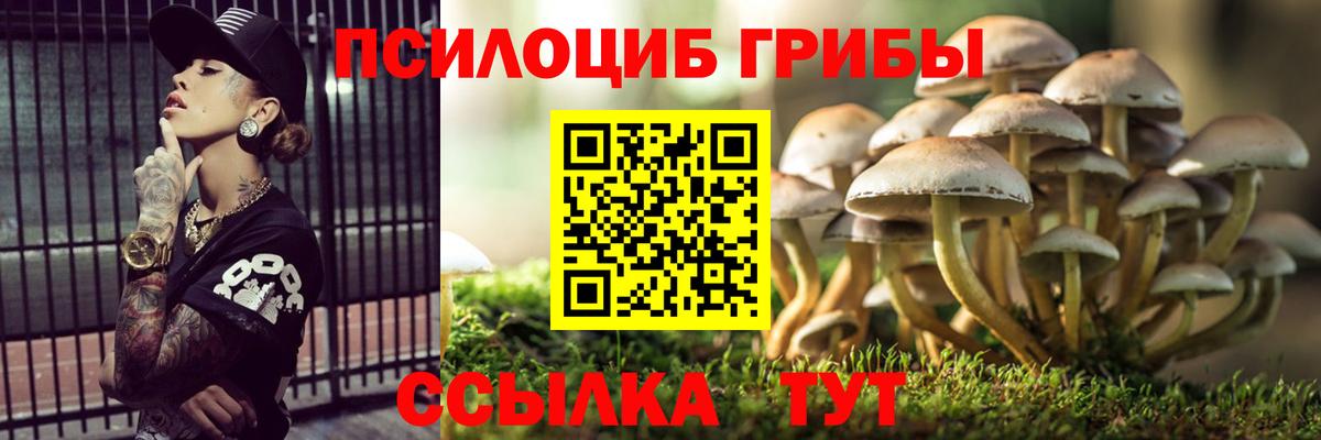 Ливны  Псилоцибиновые грибы MAGIC MUSHROOMS  Вход с VPN  Галлюциногенные грибы Cubensis 